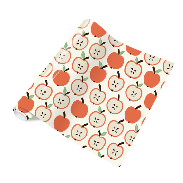 Tintnut School Patterned HTV Vinyl Kindergarten HTV School Heat Transfer Vinyl Iron on Vinyl for Fabrics HTV